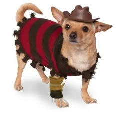 Rubie's Rubies Pet Freddy Kreuger Costume Large