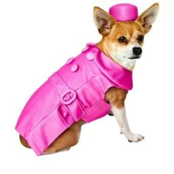 Rubie's Rubies Legally Blonde: Bruiser Pet Costume 7 Rubie's Rubies Legally Blonde: Bruiser Pet Costume -Pet Halloween Costumes Shop GUEST a73dfc8b f6ce 4750 b81a 2449b67bb457