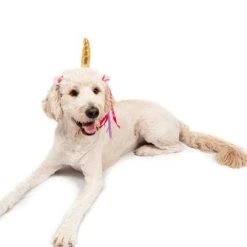 Midlee Dog Unicorn Horn Headband Halloween Costume -Pet Halloween Costumes Shop GUEST a783ae1c f5f5 465e 960a 5b0c950c88f2