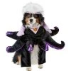 Rubie's Rubies The Little Mermaid: Ursula Pet Costume -Pet Halloween Costumes Shop GUEST a8110497 f58f 41b6 a4d2 649256690abc