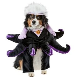 Rubie's Rubies The Little Mermaid: Ursula Pet Costume 11 Rubie's Rubies The Little Mermaid: Ursula Pet Costume -Pet Halloween Costumes Shop GUEST a8110497 f58f 41b6 a4d2 649256690abc 4