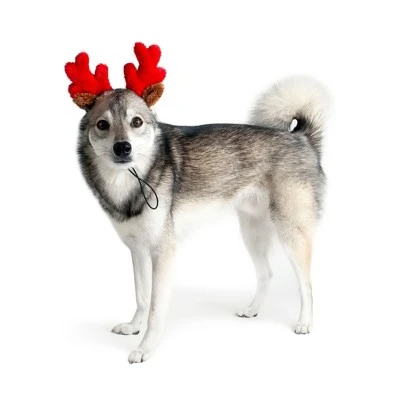 Midlee Christmas Reindeer Small Dog Antlers 7 Midlee Christmas Reindeer Small Dog Antlers - Image 5