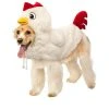 Rubie's Chicken Pet Costume, Small 2 Rubie's Chicken Pet Costume, Small -Pet Halloween Costumes Shop GUEST aeb896a4 201d 4fcc bcf7 369be89e54f0