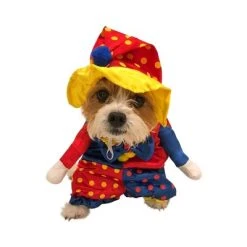 Midlee Clown Dog Costume -Pet Halloween Costumes Shop GUEST b173b7b3 e5b8 4a0e bf1d f92694cbd88e