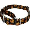 Country Brook Petz Happy Jack Martingale Dog Collar -Pet Halloween Costumes Shop GUEST b794d528 f76c 4e69 ac84 4d78d5a6c928
