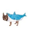 Rubie's Shark Pet Costume, Small -Pet Halloween Costumes Shop GUEST b98f12be c4b3 4c16 b967 c5f2c73a3d77