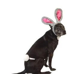 Midlee Easter Bunny Gray & Pink Rabbit Ears for Large Dogs Headband With Tail -Pet Halloween Costumes Shop GUEST beb37a75 acd4 43ef b75a 109ec8e71e37