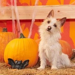 BARK Halloween Super Chewer Batty Vladdy Dog Toy -Pet Halloween Costumes Shop GUEST bf09d0cd 8349 49d3 bfb3 058159e0bee2