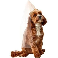 Rubie's Rubies Birthday Fairy Cone Hat Pet Accessory