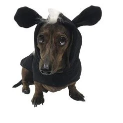 Midlee Skunk Dog Costume 9 Midlee Skunk Dog Costume -Pet Halloween Costumes Shop GUEST c11a3c1b e5c3 48bd a51c 9bae006feea6