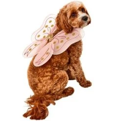 Rubie's Rubies Birthday Fairy Wings Pet Accessory 7 Rubie's Rubies Birthday Fairy Wings Pet Accessory -Pet Halloween Costumes Shop GUEST c1b7671b 739d 4dc2 bb74 3f00c7639b38 2