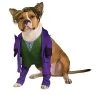 Rubie's Rubies Joker Pet Costume - Large 1 Rubie's Rubies Joker Pet Costume - Large -Pet Halloween Costumes Shop GUEST c2930704 6ee8 45f4 94e5 9915a0671cbd