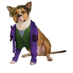 Rubie's Rubies Joker Pet Costume - Large