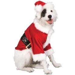Rubie's Santa Claus Pet Costume, Medium
