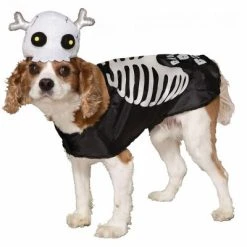 Pet Halloween Costumes Shop 6 Forum Novelties Skeleton Pet Costume