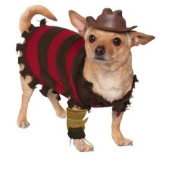 A Nightmare on Elm Street Freddy Krueger Pet Costume, Small