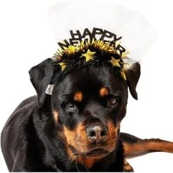 Midlee Happy New Year Dog Headband -Pet Halloween Costumes Shop GUEST cbd88c4e 5a2c 4e05 8e66 3e01732c8b53