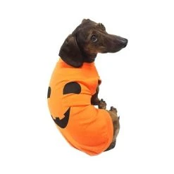 Midlee Pumpkin Face Dog Shirt Costume