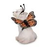 Zack & Zoey Butterfly Glow Harness Costume for Dogs -Pet Halloween Costumes Shop GUEST cfa66b9f 7e47 4412 9203 deb1b1b7256a