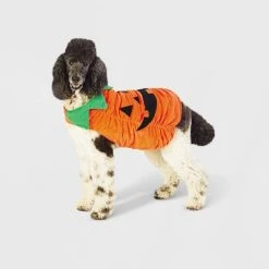 Halloween Plush Pumpkin Dog and Cat Costume - Hyde & EEK! Boutique™ -Pet Halloween Costumes Shop GUEST cfbc3f78 0f58 471c ba5c b17b7ba4b810 1
