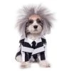 Rubie's Rubies Beetlejuice Costume For Pets -Pet Halloween Costumes Shop GUEST d3e7362f 2f55 4020 b37d c90c118f3641