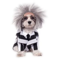 Rubie's Rubies Beetlejuice Costume For Pets 8 Rubie's Rubies Beetlejuice Costume For Pets -Pet Halloween Costumes Shop GUEST d3e7362f 2f55 4020 b37d c90c118f3641 2