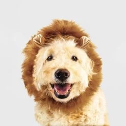Halloween Lion Cat and Dog Headwear - Hyde & EEK! Boutique™ 12 Halloween Lion Cat and Dog Headwear - Hyde & EEK! Boutique™ -Pet Halloween Costumes Shop GUEST d5263030 e2f2 455f 8f78 471beb36ac98 1