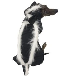 Midlee Skunk Dog Costume 10 Midlee Skunk Dog Costume -Pet Halloween Costumes Shop GUEST d660ab83 3afc 4d49 b118 26440b049f97