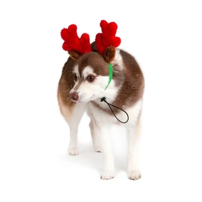 Midlee Christmas Reindeer Small Dog Antlers 4 Midlee Christmas Reindeer Small Dog Antlers - Image 2