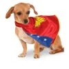 DC Comics Wonder Woman Cape Pet Costume, X-Large 1 DC Comics Wonder Woman Cape Pet Costume, X-Large -Pet Halloween Costumes Shop GUEST d9694a98 80ea 4b29 9295 bd7446fbf3df