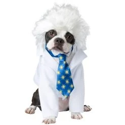 California Costumes Al-Bark Einstein Pet Costume -Pet Halloween Costumes Shop GUEST d9946368 e4d7 4488 a7bb 747ff6103076 1