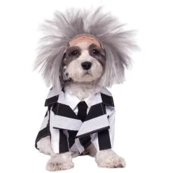 Beetlejuice Beetlejuice Pet Costume, X-Large