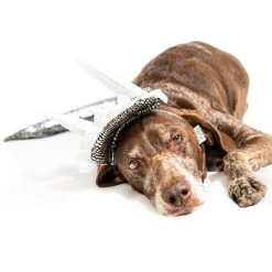 Midlee Dinosaur Dog Headband & Tail Costume -Pet Halloween Costumes Shop GUEST de40377a 0e3b 43d4 bae7 8418ccab21f7