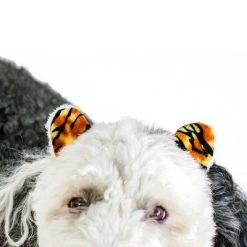 Midlee Tiger Dog Costume Headband & Tail- Large -Pet Halloween Costumes Shop GUEST e769bd8e d9a3 412f 86b0 8bc84de7fe7f