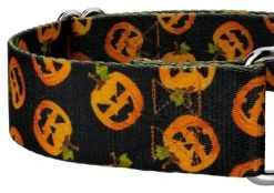 Country Brook Petz 1 1/2 Inch Happy Jack Martingale Dog Collar -Pet Halloween Costumes Shop GUEST ed667385 9fcd 4670 89f9 edca7d634c08