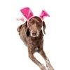Midlee Dog Pig Halloween Headband Costume with Tail- Large -Pet Halloween Costumes Shop GUEST ed691c94 6837 4b0c 8047 93042b6ac7be