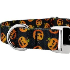 Country Brook Petz Premium Happy Jack Dog Collar -Pet Halloween Costumes Shop GUEST eda746b9 0a10 4d8a 95b1 99291d4f9fef