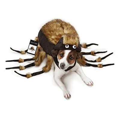 Zack & Zoey Fuzzy Tarantula Costume for Dogs 6 Zack & Zoey Fuzzy Tarantula Costume for Dogs - Image 4