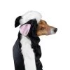 Casual Canine Lil' Stinker Dog Costume -Pet Halloween Costumes Shop GUEST eec1f7dd 3f4b 4517 ad4f fdc703ddc942