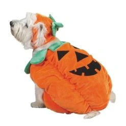 Zack & Zoey Pumpkin Pooch Dog Costume -Pet Halloween Costumes Shop GUEST ef1d7f29 5452 4414 a900 456d5f420ac4