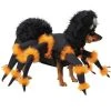 California Costumes Spider Pup Pet Costume, Medium -Pet Halloween Costumes Shop GUEST f0399da1 7d4b 4ed5 8fd5 004413c7d6fe