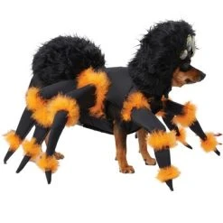 California Costumes Spider Pup Pet Costume, Medium