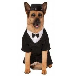 Rubie's Big Dapper Dog Pet Costume