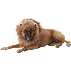 California Costumes King of the Jungle Lion Dog Costume 10 California Costumes King of the Jungle Lion Dog Costume -Pet Halloween Costumes Shop GUEST f25900ed 5e98 4c6d a7ba 4f73e650a698 1