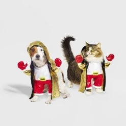 Halloween Frontal Boxer Cat and Dog Costume - Hyde & EEK! Boutique™ -Pet Halloween Costumes Shop GUEST f6937c0d 79d7 457c b8a3 04a76bc049e9 1