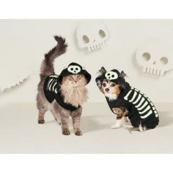 Skeleton Glow Hoodie Halloween Dog and Cat Costume - Hyde & EEK! Boutique™ -Pet Halloween Costumes Shop GUEST f6a62c4c 2c42 4f23 8d4c 26353b1aa14b