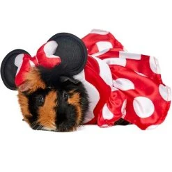 Rubie's Rubies Minnie Mouse Small Pet Costume