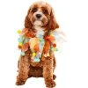 Rubie's Rubies Pom Party Collar Pet Accessory -Pet Halloween Costumes Shop GUEST fb3a0fb0 c758 4f29 8003 59f7cde8dcf9