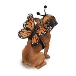 Zack & Zoey Butterfly Glow Harness Costume for Dogs -Pet Halloween Costumes Shop GUEST fb7919e4 41ec 4523 94d2 4a12a6e3172c 1