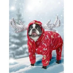 Rubie's Mariah Carey Christmas PJ Pet Costume -Pet Halloween Costumes Shop GUEST fd4edda6 46a4 4b22 8b6c 82e1b378d4da
